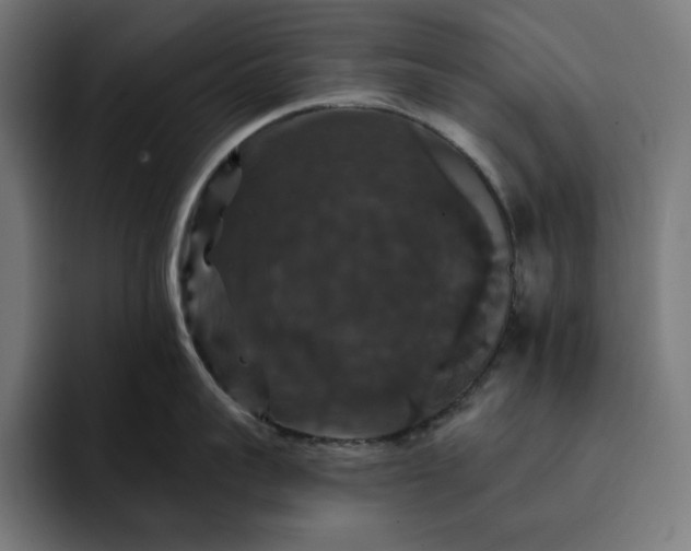 X0000093130959200710101057