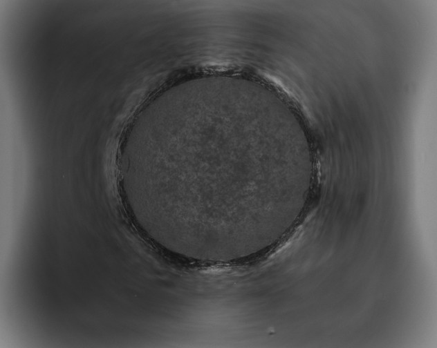 X0000093130961200710101056