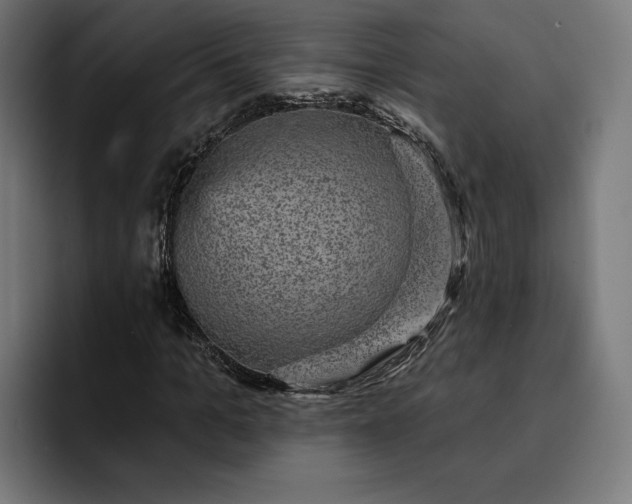 X0000093130965200710101056