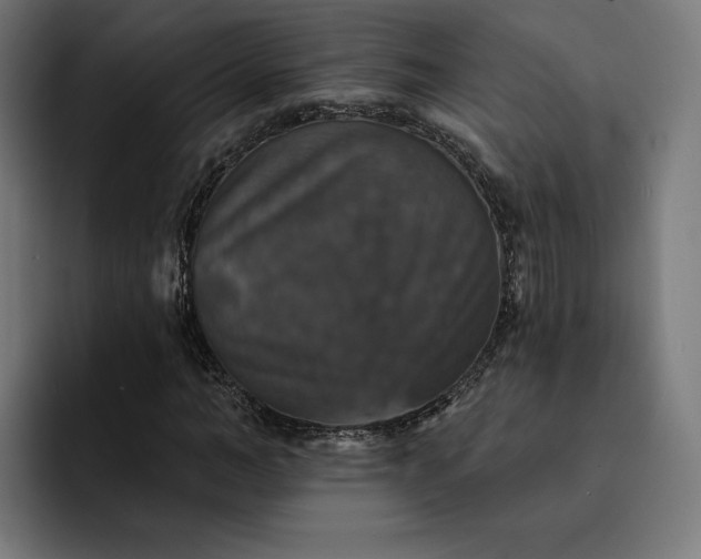 X0000093130966200710101056