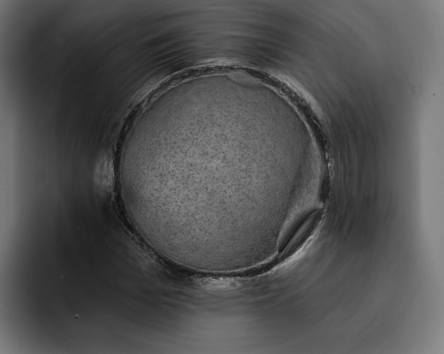 X0000093130969200710101056