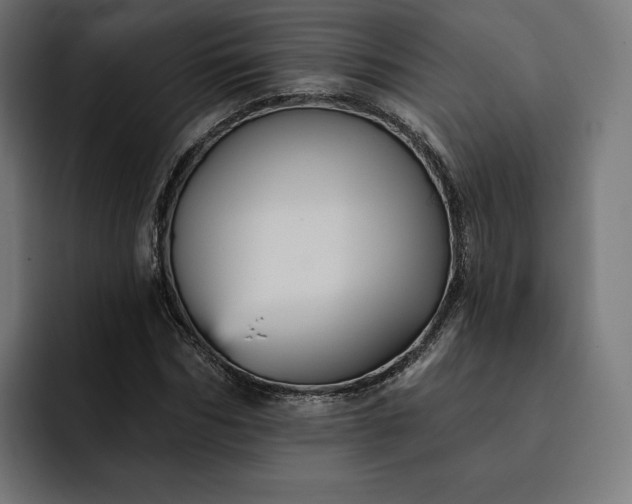 X0000093130970200710101056