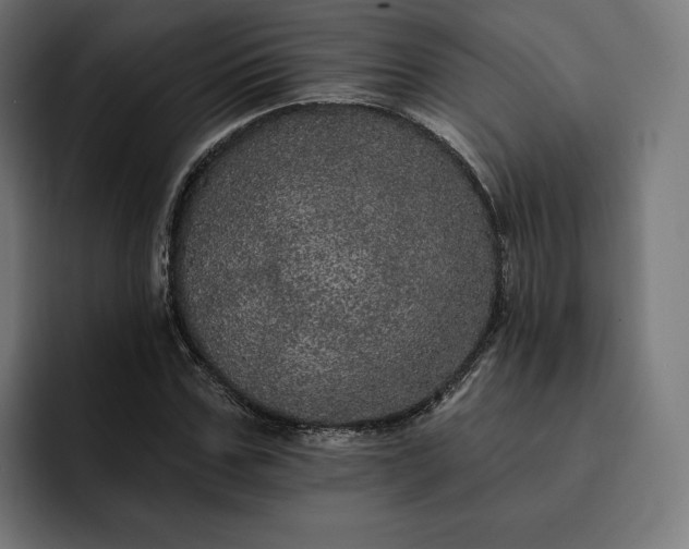 X0000093130971200710101056