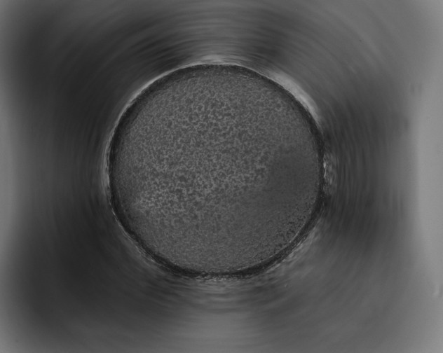 X0000093130972200710101056