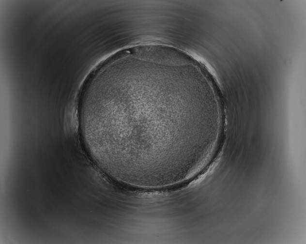 X0000093130973200710101056