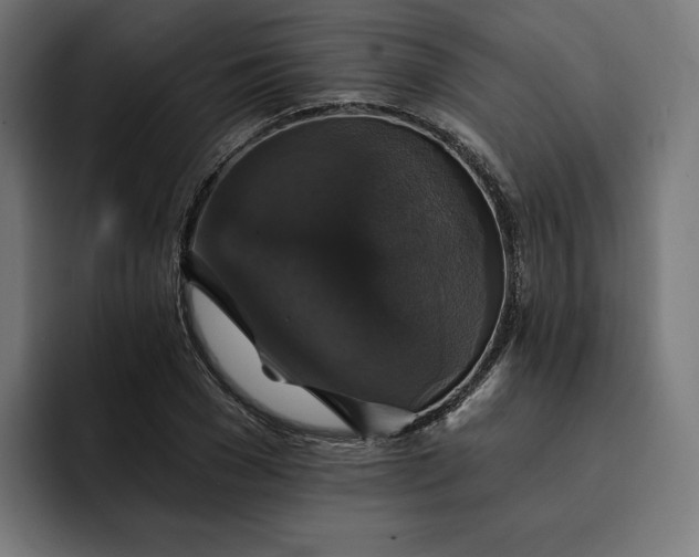 X0000093130977200710101056