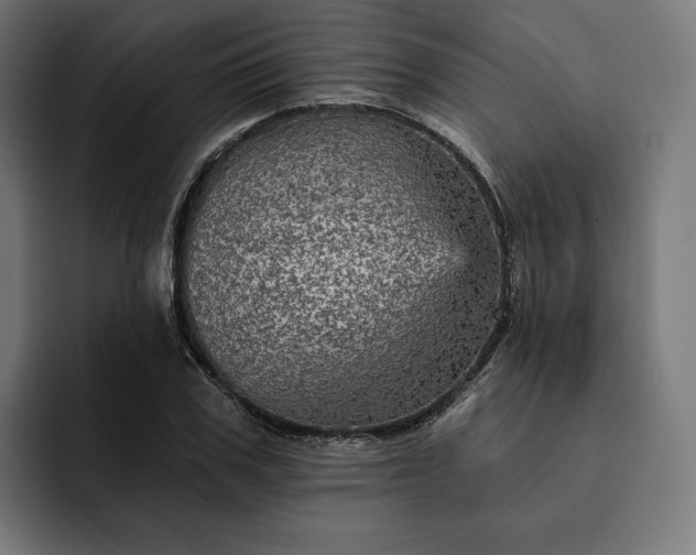 X0000093130979200710101056