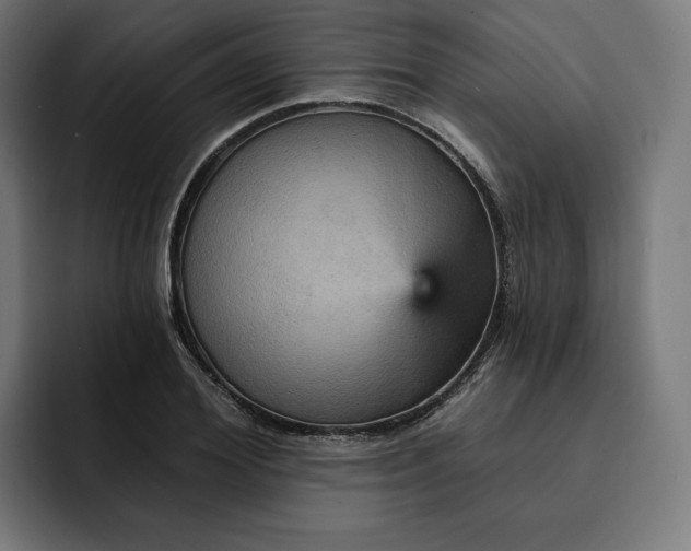 X0000093130980200710101056