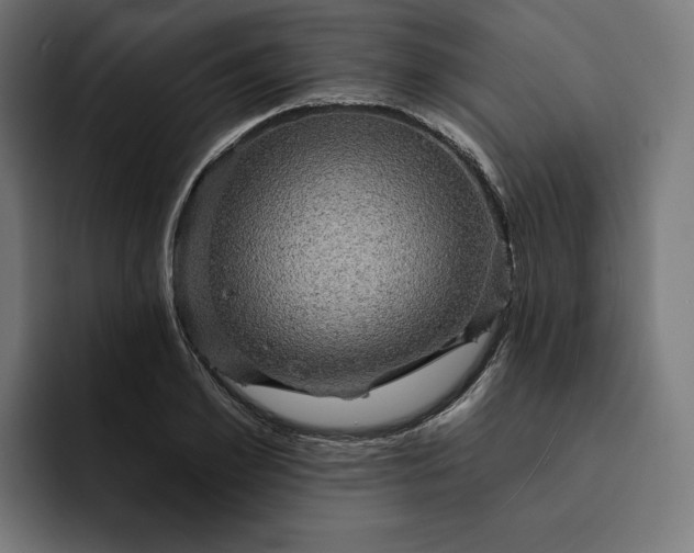 X0000093130981200710101056