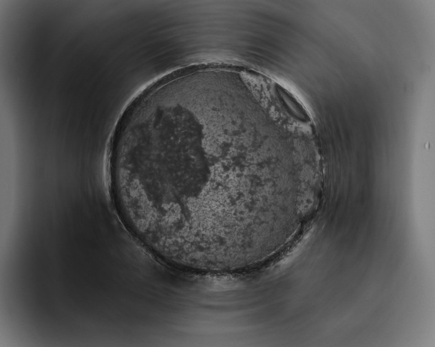 X0000093130983200710101056