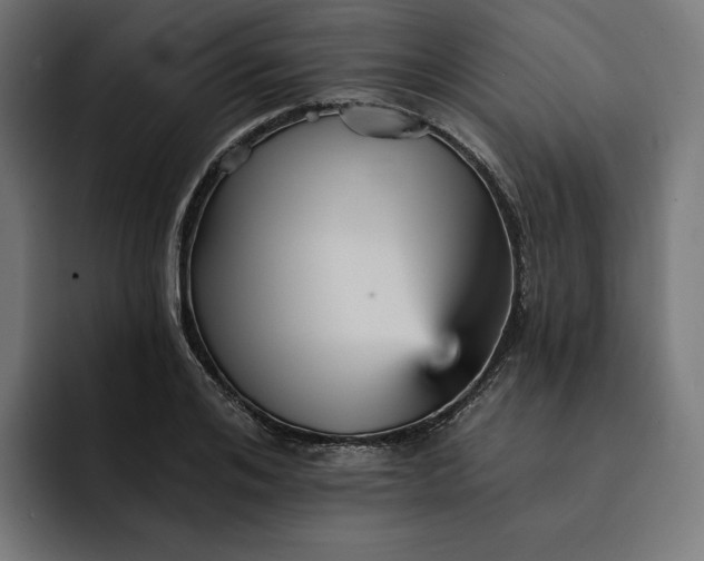 X0000093130984200710101056