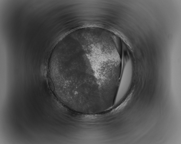 X0000093130985200710101055