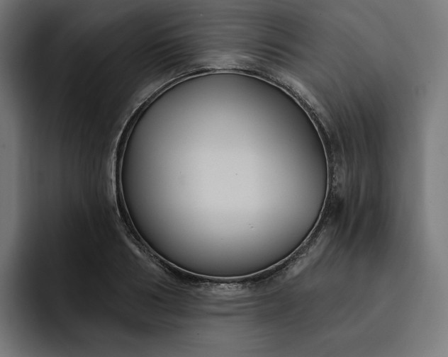 X0000093130986200710101055