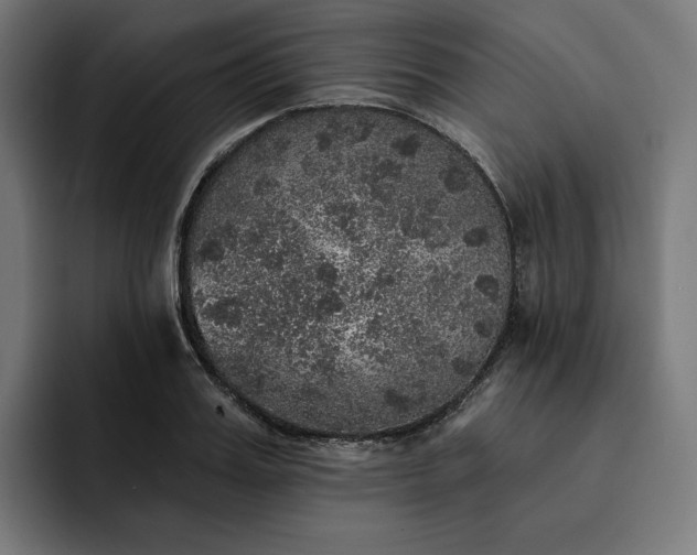 X0000093130987200710101055