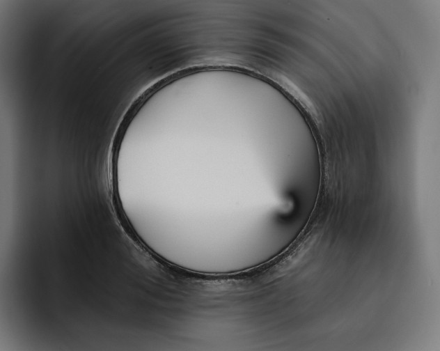 X0000093130988200710101055