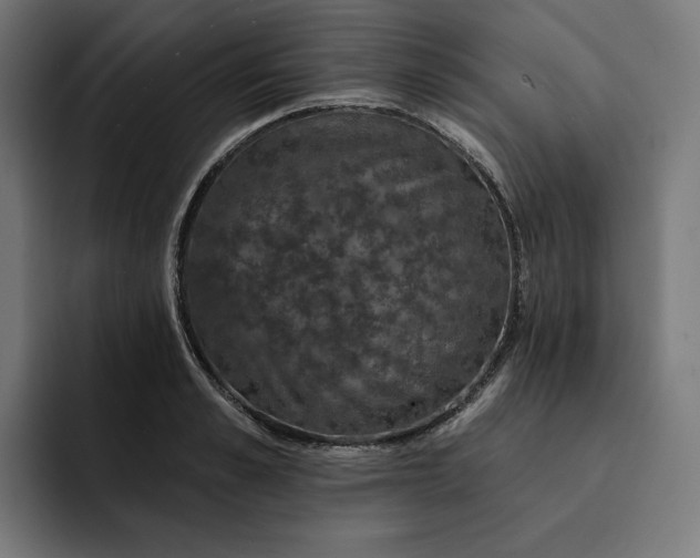 X0000093130989200710101055