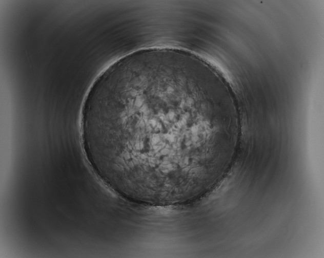 X0000093130990200710101055