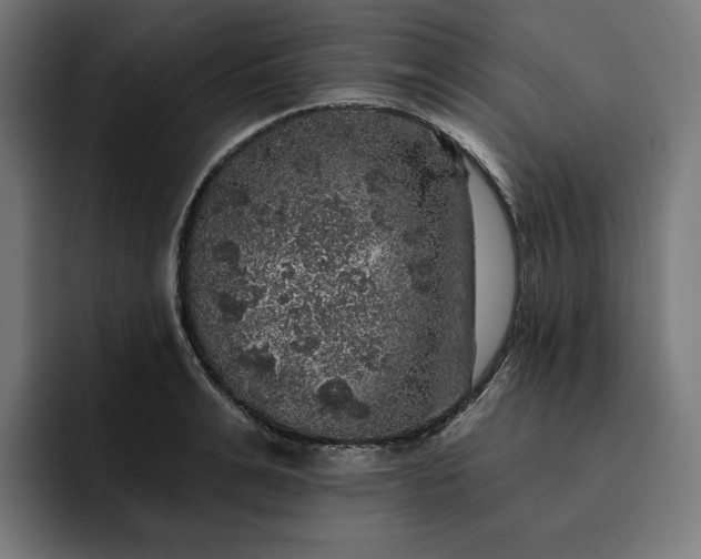 X0000093130991200710101055