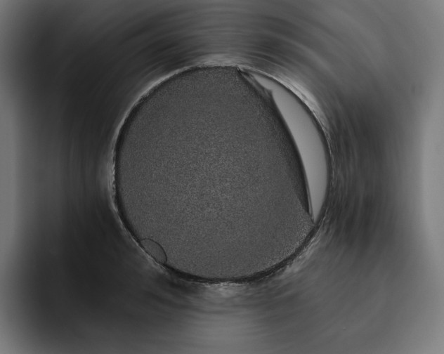 X0000093130992200710101055