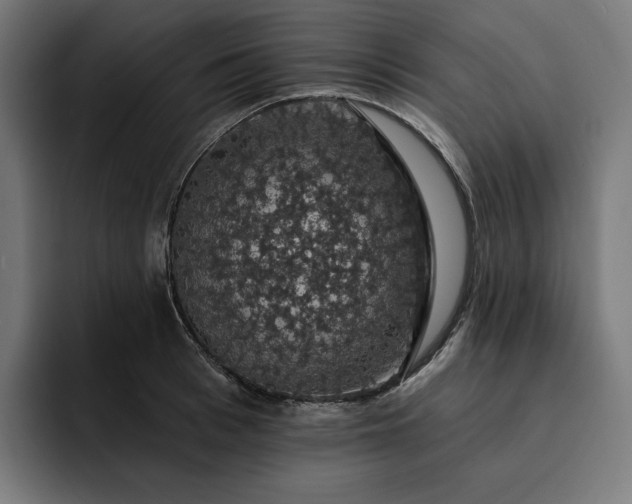 X0000093130993200710101055