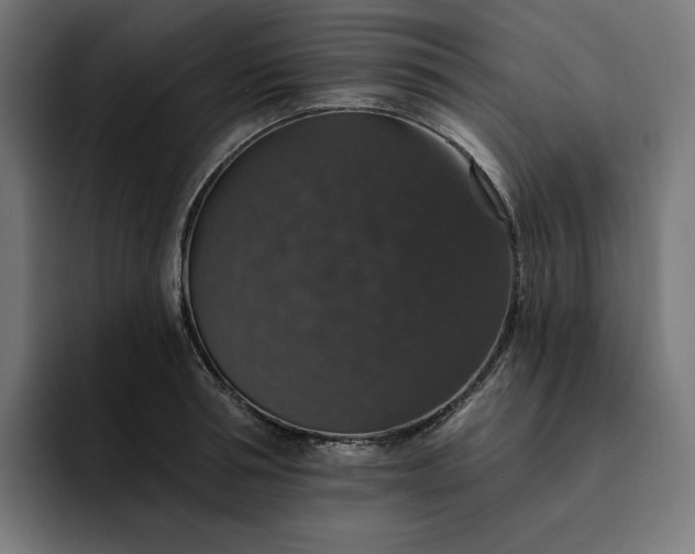 X0000093130994200710101055