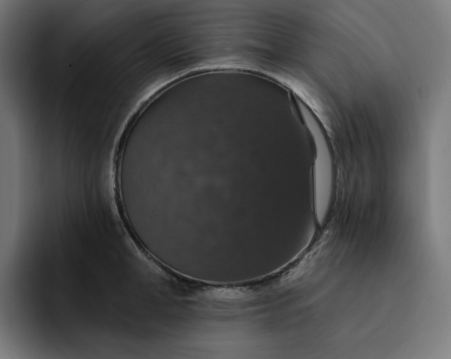 X0000093130998200710101055