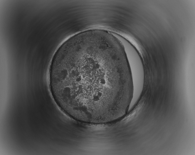 X0000093130999200710101055