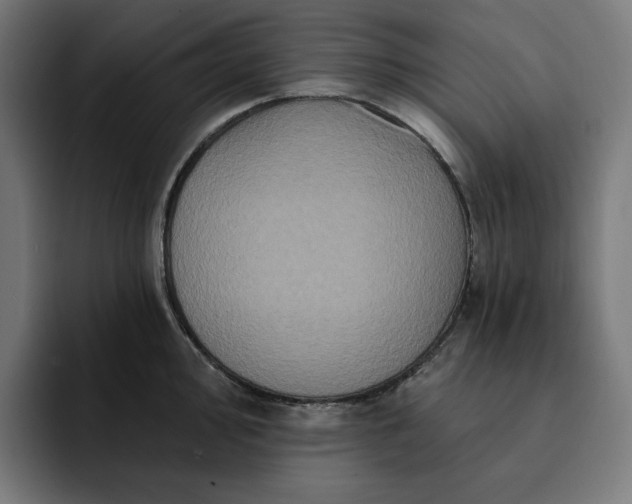 X0000093131000200710101055