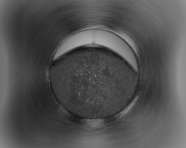 X0000093131001200710101055