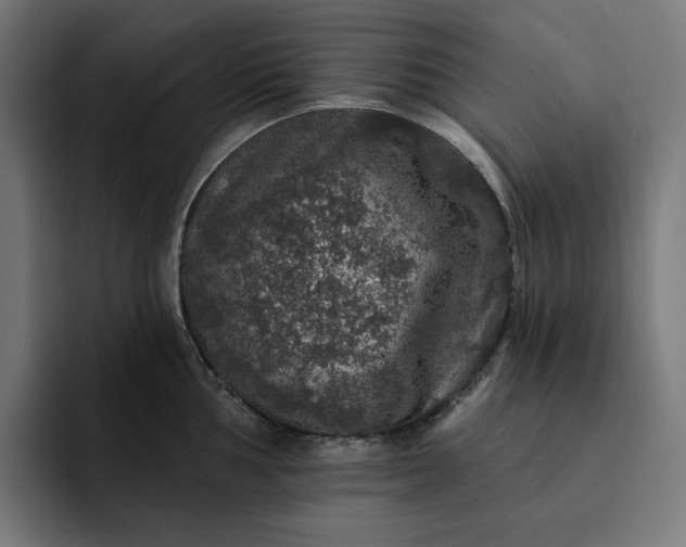 X0000093131002200710101055