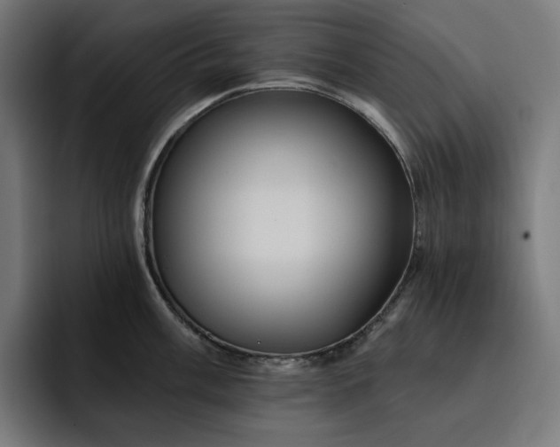 X0000093131003200710101055