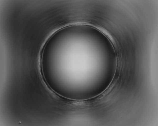 X0000093131006200710101055