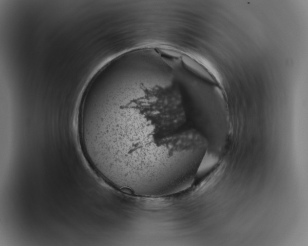 X0000093131007200710101055