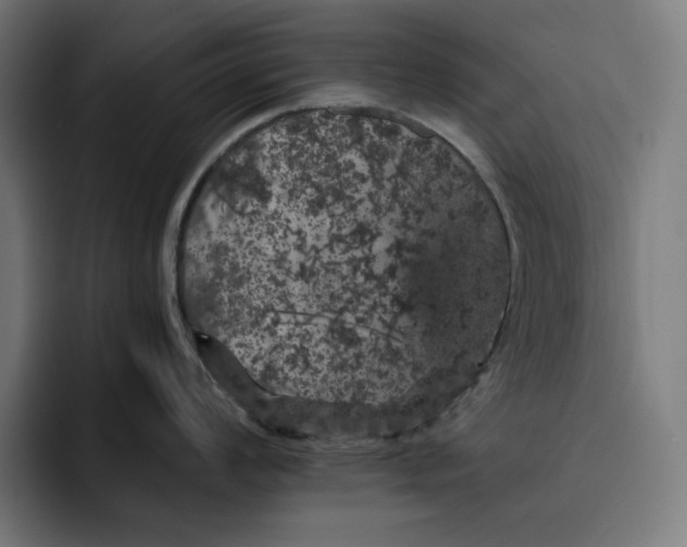 X0000093131008200710101055