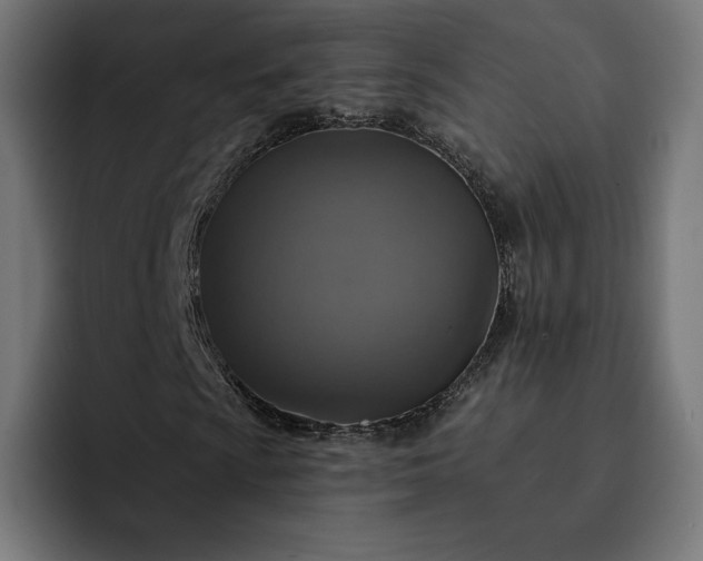 X0000093131009200710101055