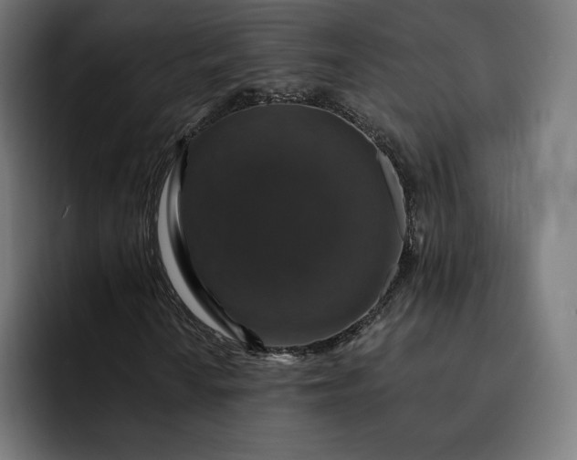 X0000093131010200710101055