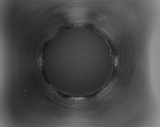 X0000093131011200710101055