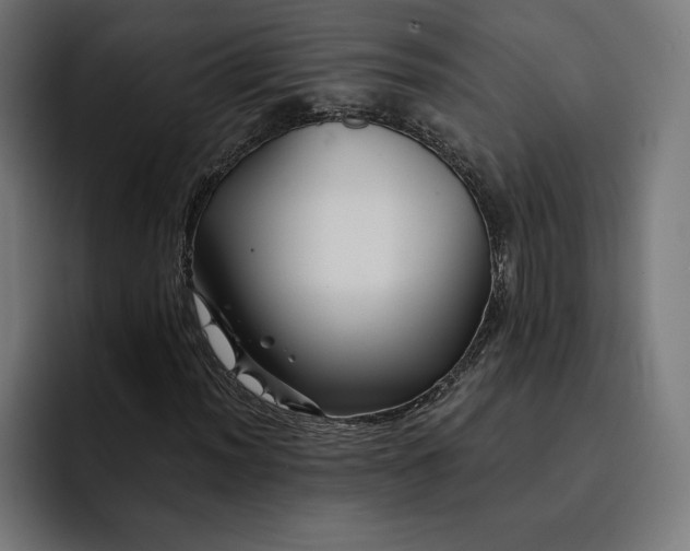 X0000093131012200710101055