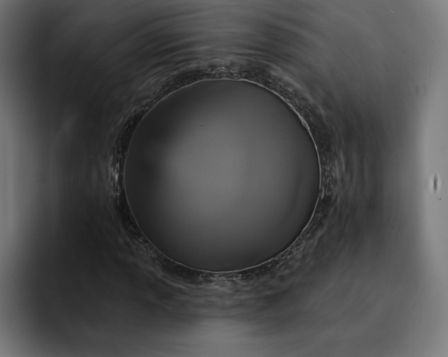 X0000093131013200710101055