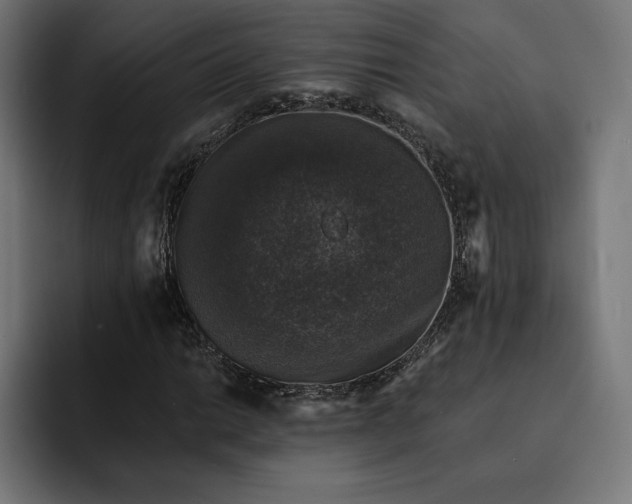 X0000093131014200710101055