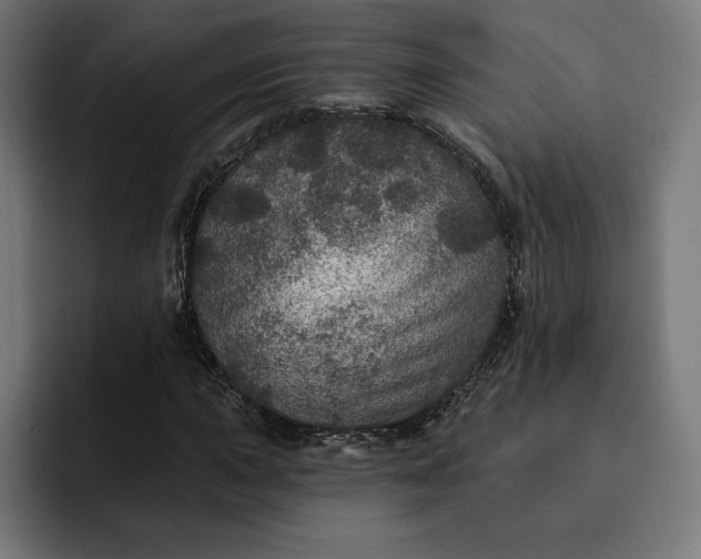 X0000093131015200710101055