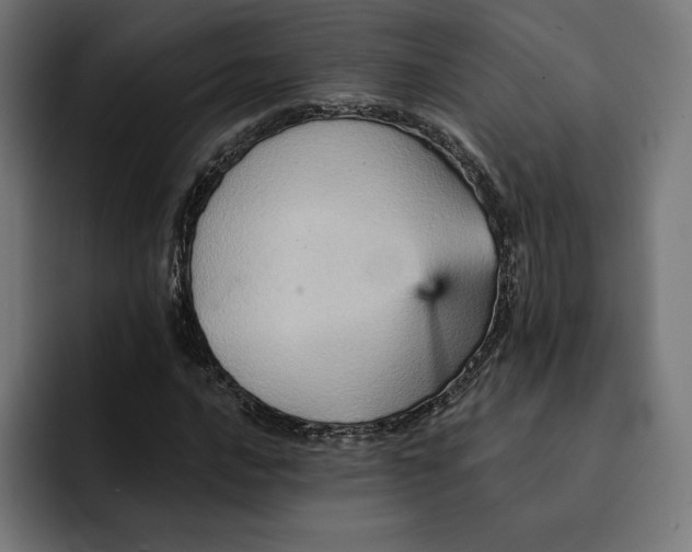 X0000093131016200710101055