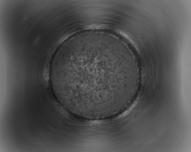 X0000093131017200710101055