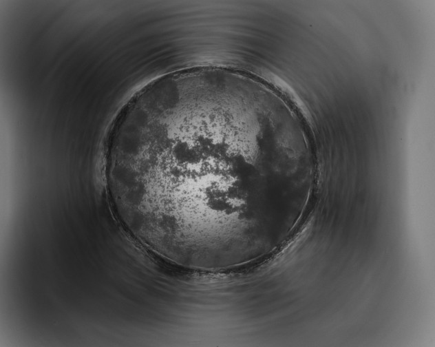 X0000093131019200710101055