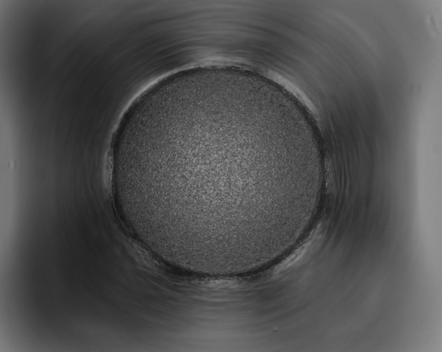 X0000093131021200710101055