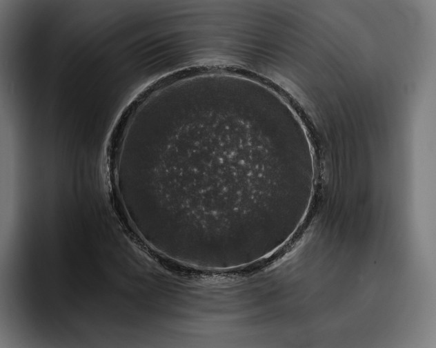 X0000093131022200710101055