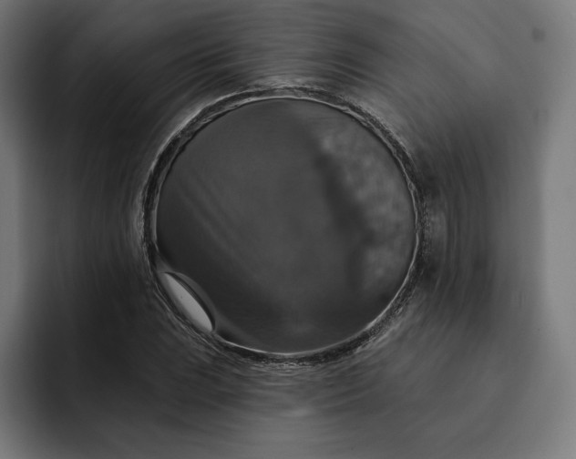 X0000093131023200710101055