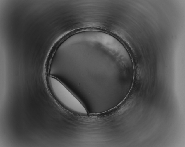 X0000093131024200710101055