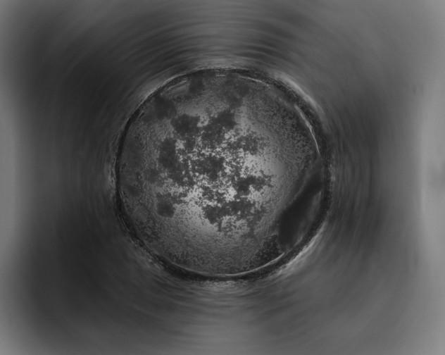 X0000093131025200710101055