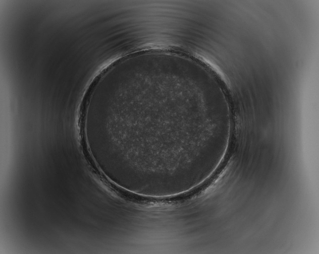 X0000093131026200710101055